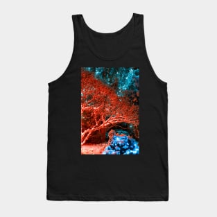 Winter Night Lights of Meadowlark Gardens Tank Top